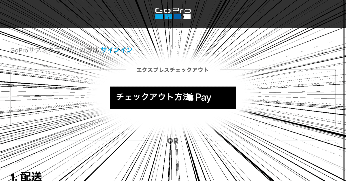 公式サイトで購入できません』 GoPro HERO9 BLACK CHDHX-901-FW