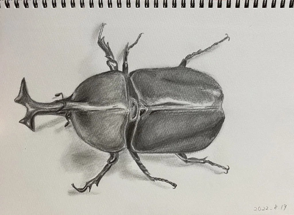 I, who have never learned to draw, tried taking an online sketching ...