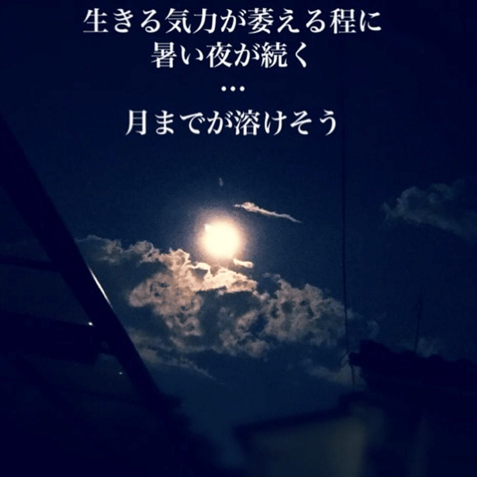 画像20