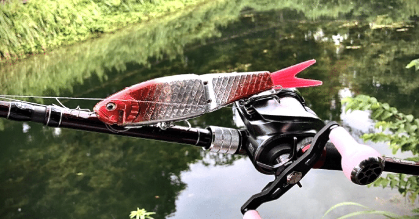 三兼池のバスを釣るにはどうしたらいいのだろうか🎣｜トリちゃんねるの