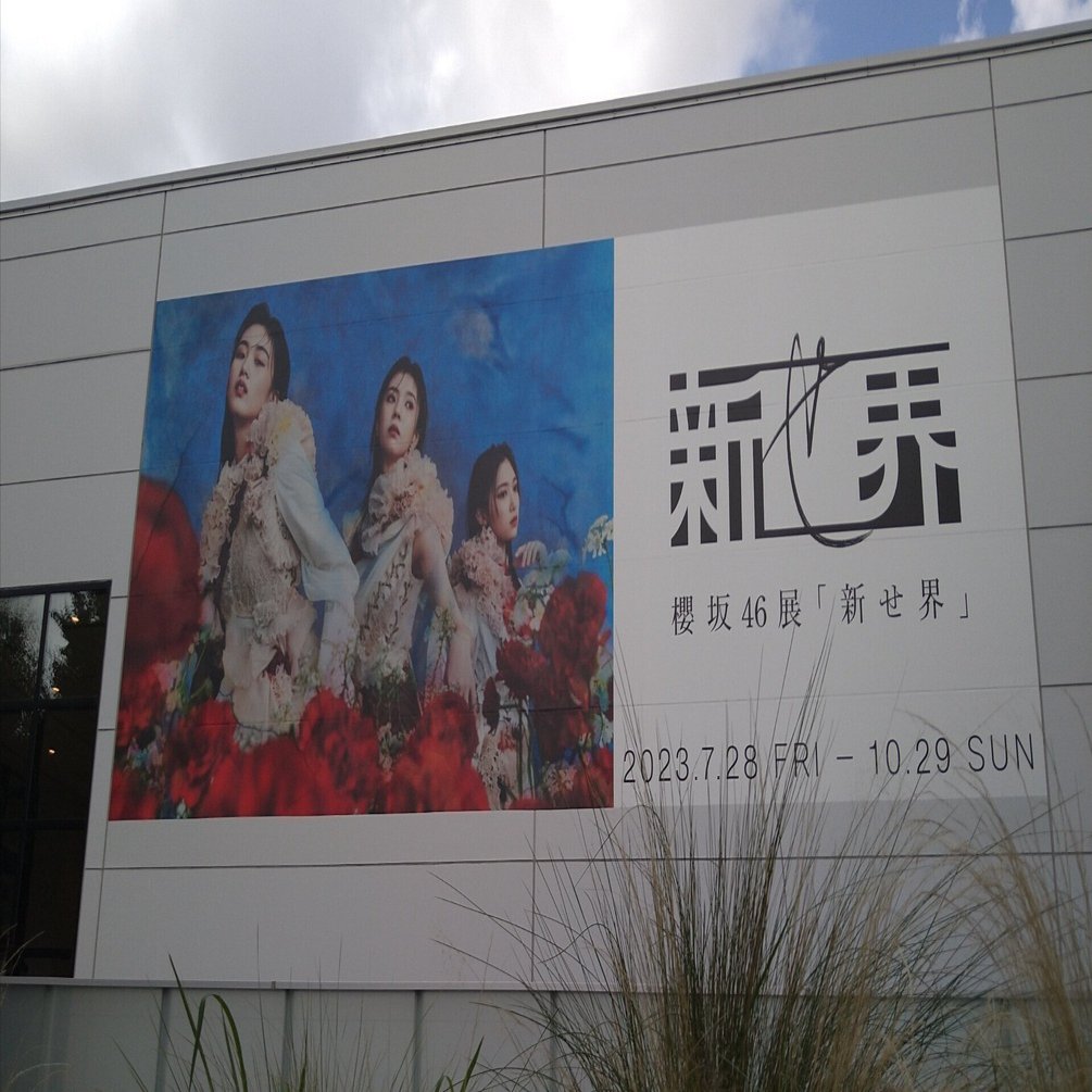 櫻坂46展 『新せ界』へ｜やまびこさん