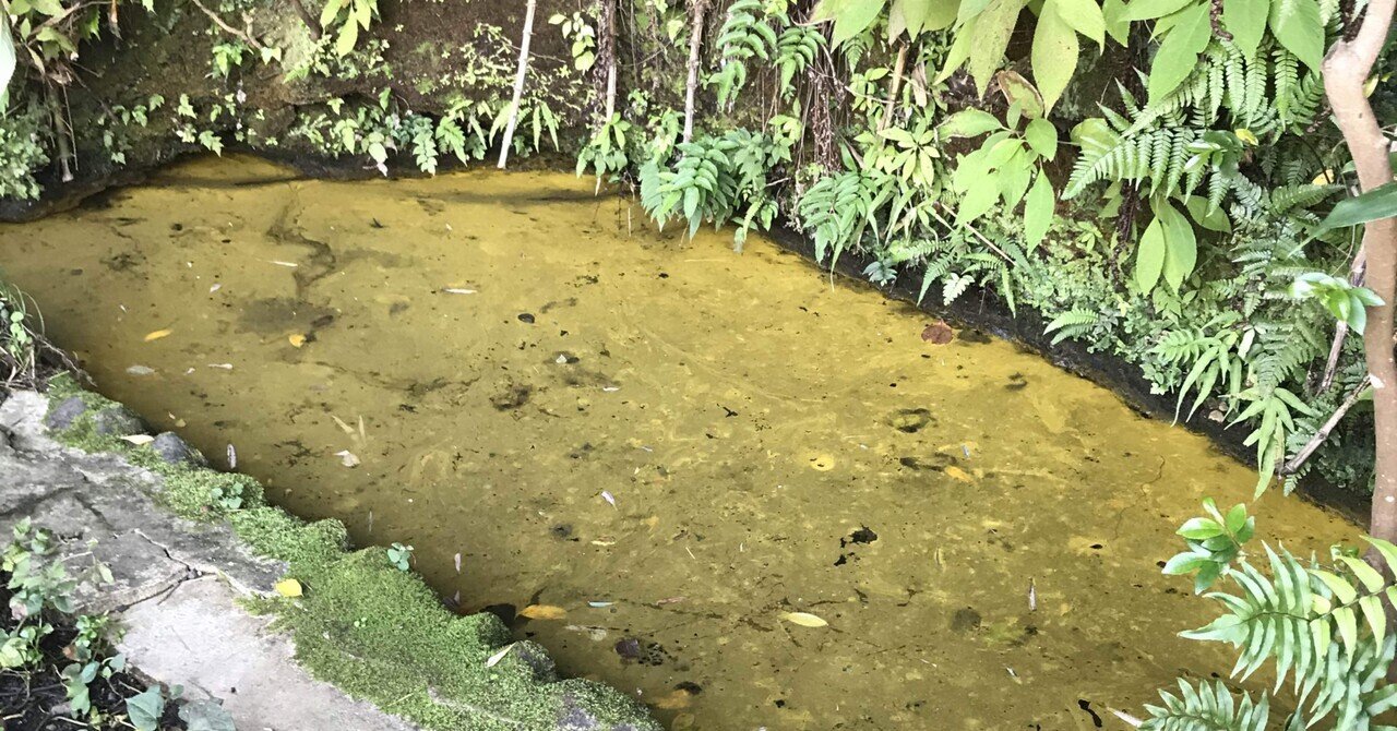 ヒカリモ｜Memi33