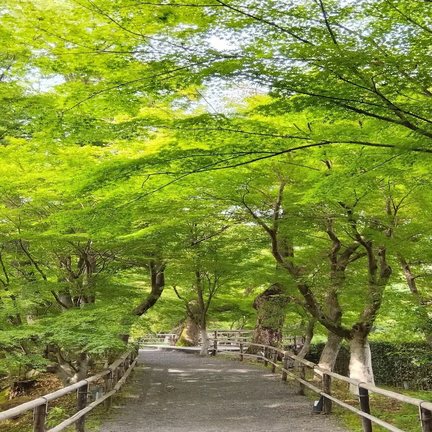 Yamaryo