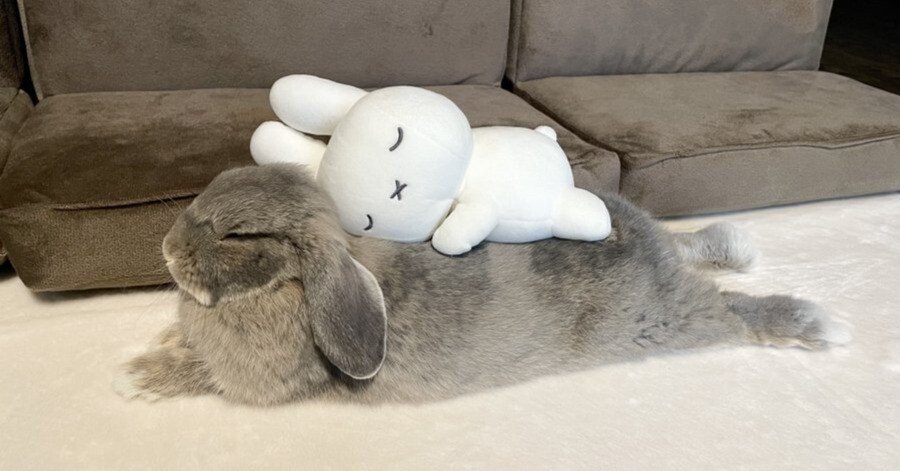 18ec4896056bdf9592209e662e67a4