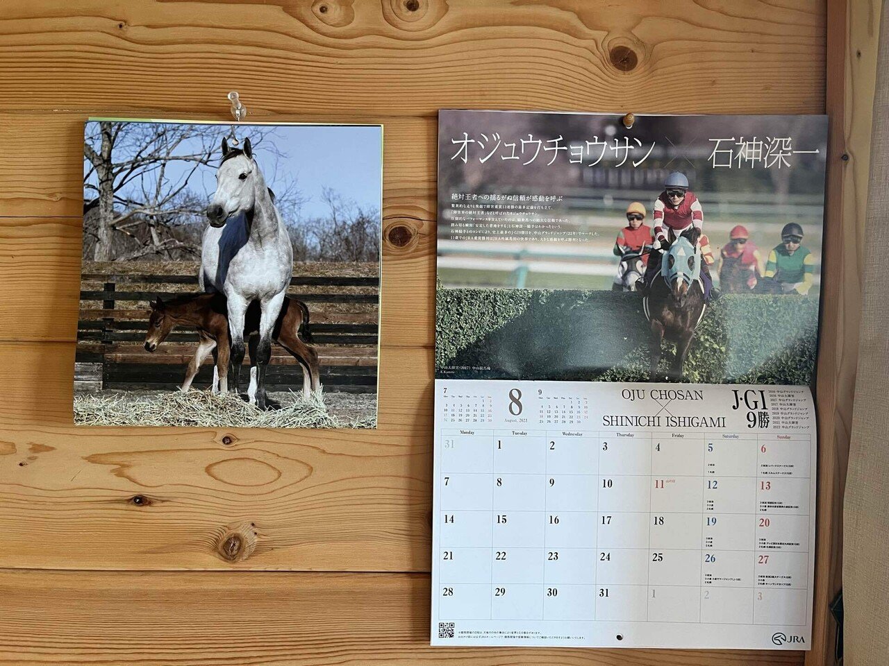 白の時間 : 名馬オグリキャップ引退後二十年の日々 : 内藤律子写真集 ヨドバシ.com - 白の時間 名馬オグリキャップ引退後二十年の日々