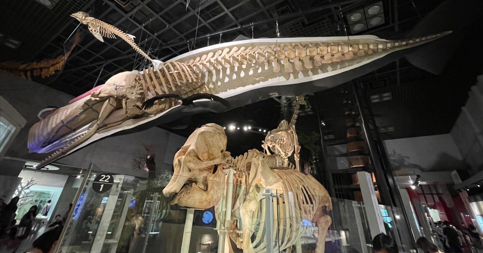 1b3a0da788e9d9b3cfffe0028c487f