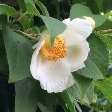 みずはら