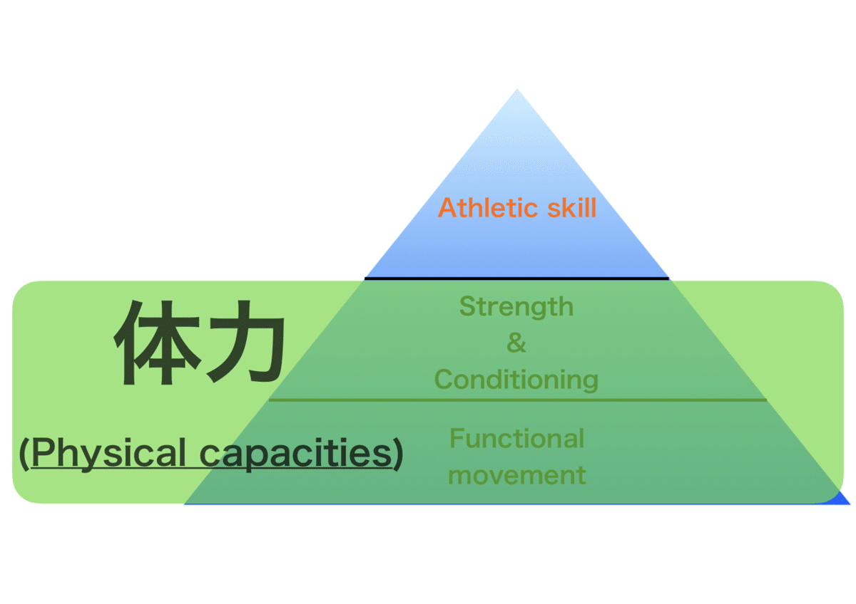 パワーズ運動生理学 体力と競技力向上のための理論と応用 パワーズ運動生理学 体力と競技力向上のための理論と応用アウ