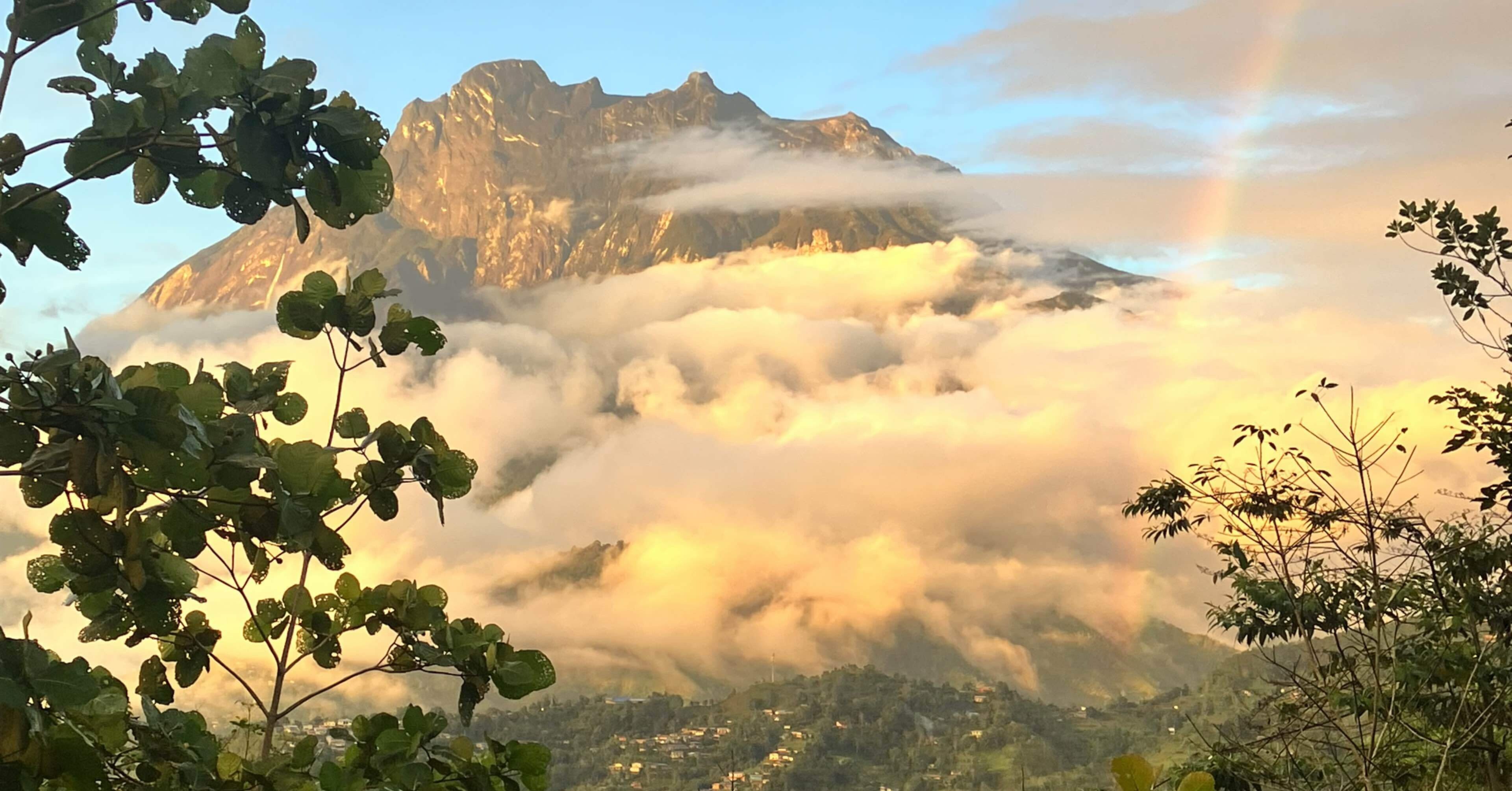 青い海！深すぎる森！帰れなくなりかけた大自然の島ボルネオ 初心者