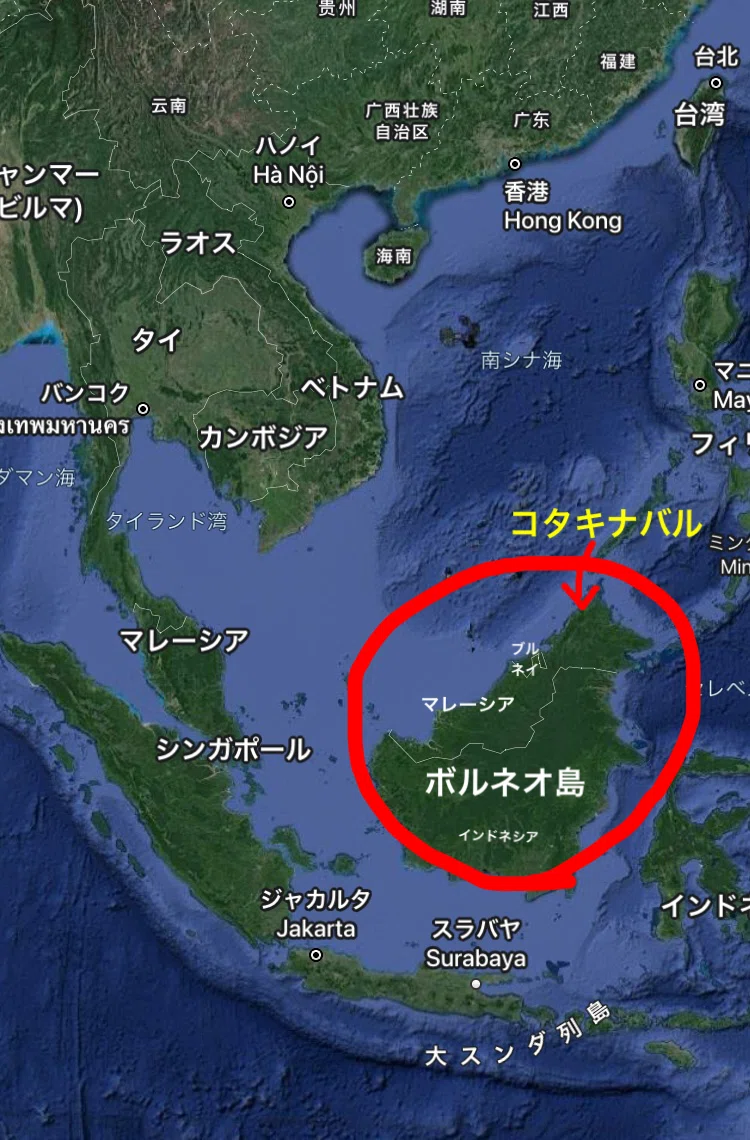 青い海！深すぎる森！帰れなくなりかけた大自然の島ボルネオ 初心者