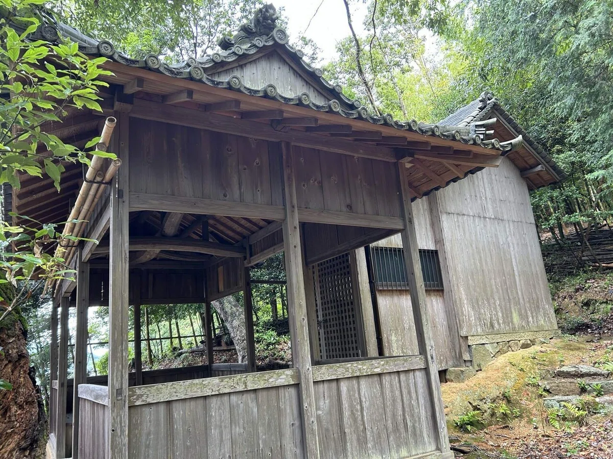画像