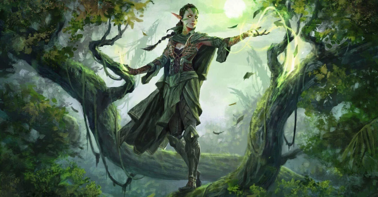 EDH】野生の魂、アシャヤ 解説vol.2｜たっちー