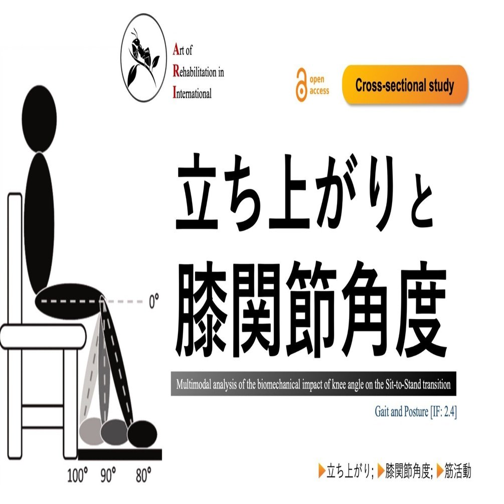 立ち上がりと膝関節角度｜Super Human | 理学療法士／保健学博士 Ph.D.