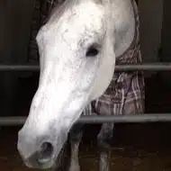 うまだく　印連穴流
