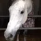うまだく 印連穴流