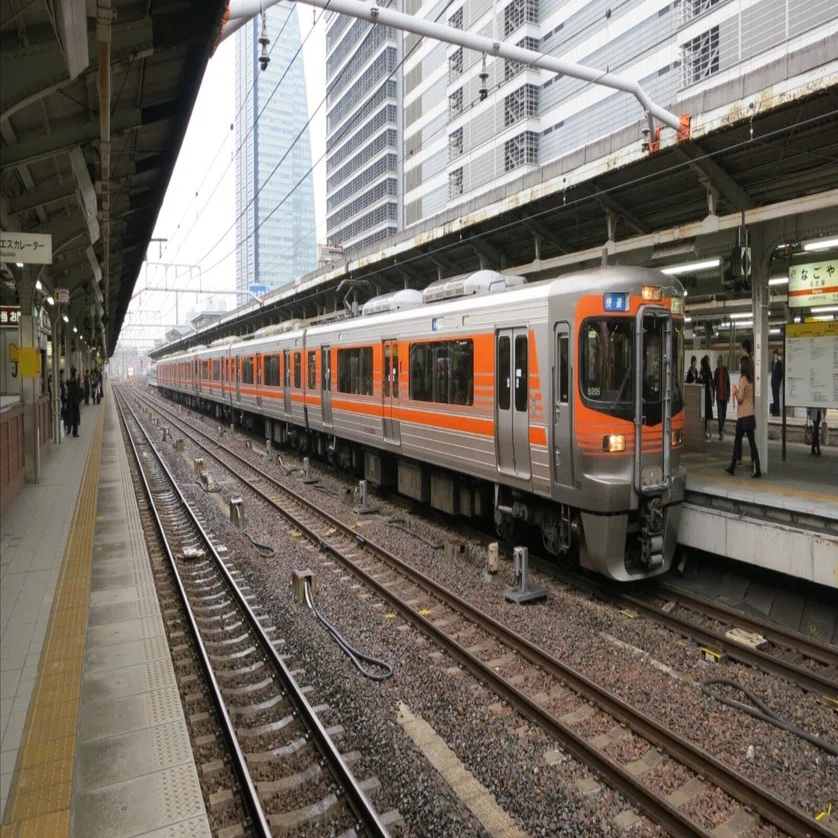すごいぞ！はっせん！□21ーJR東海313系8000番台 ｜tamanabiclub