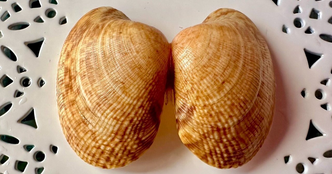 苗字としての”あさり”｜あさりの魅力研究家/朝理多サリア