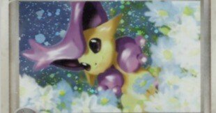 ADV・PCG個別カードランク Part2(イーブイ～エンテイ)｜寒天(奏天)