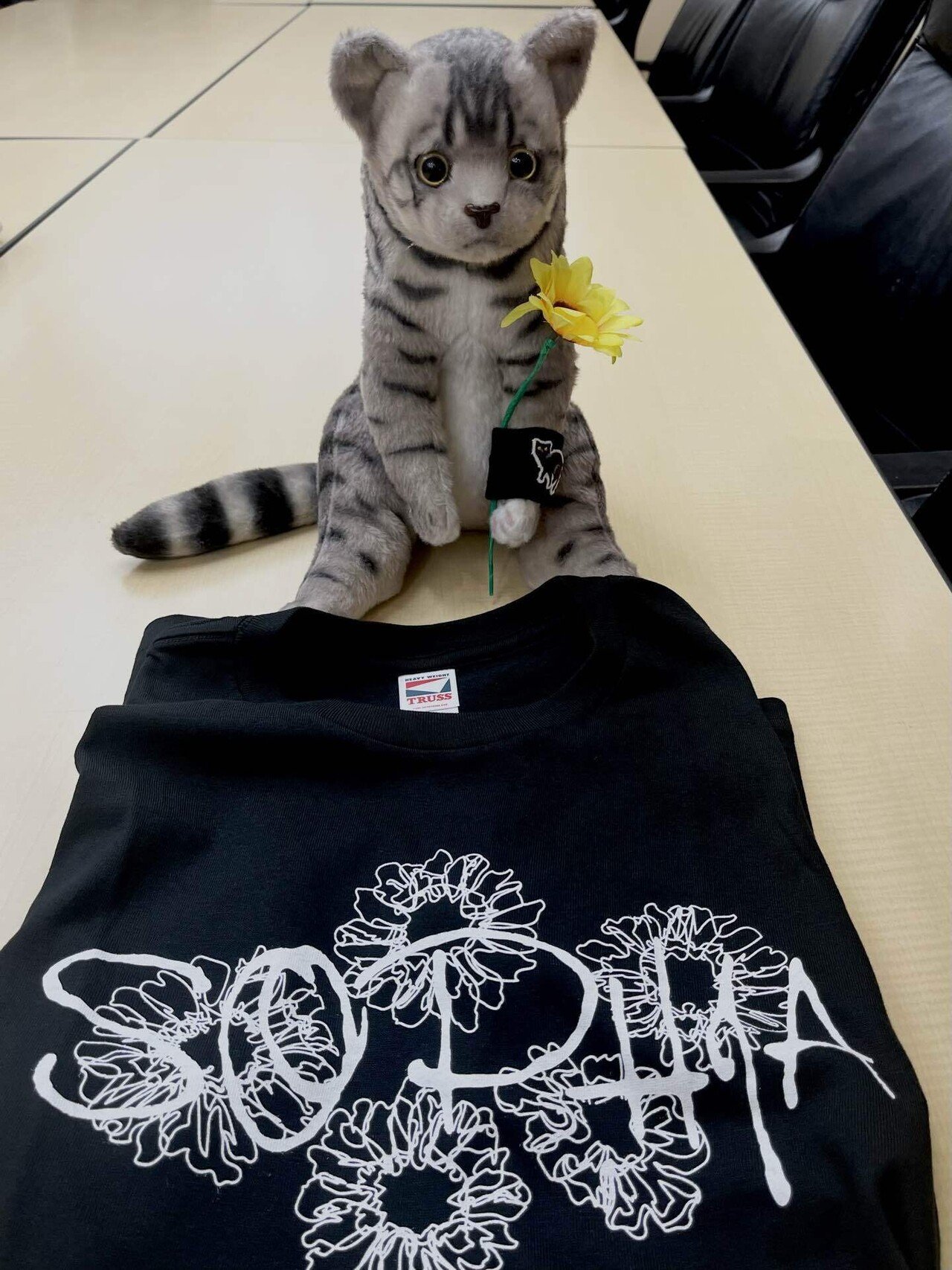 お待たせしていた猫のアレ｜黒柳 能生 公式note