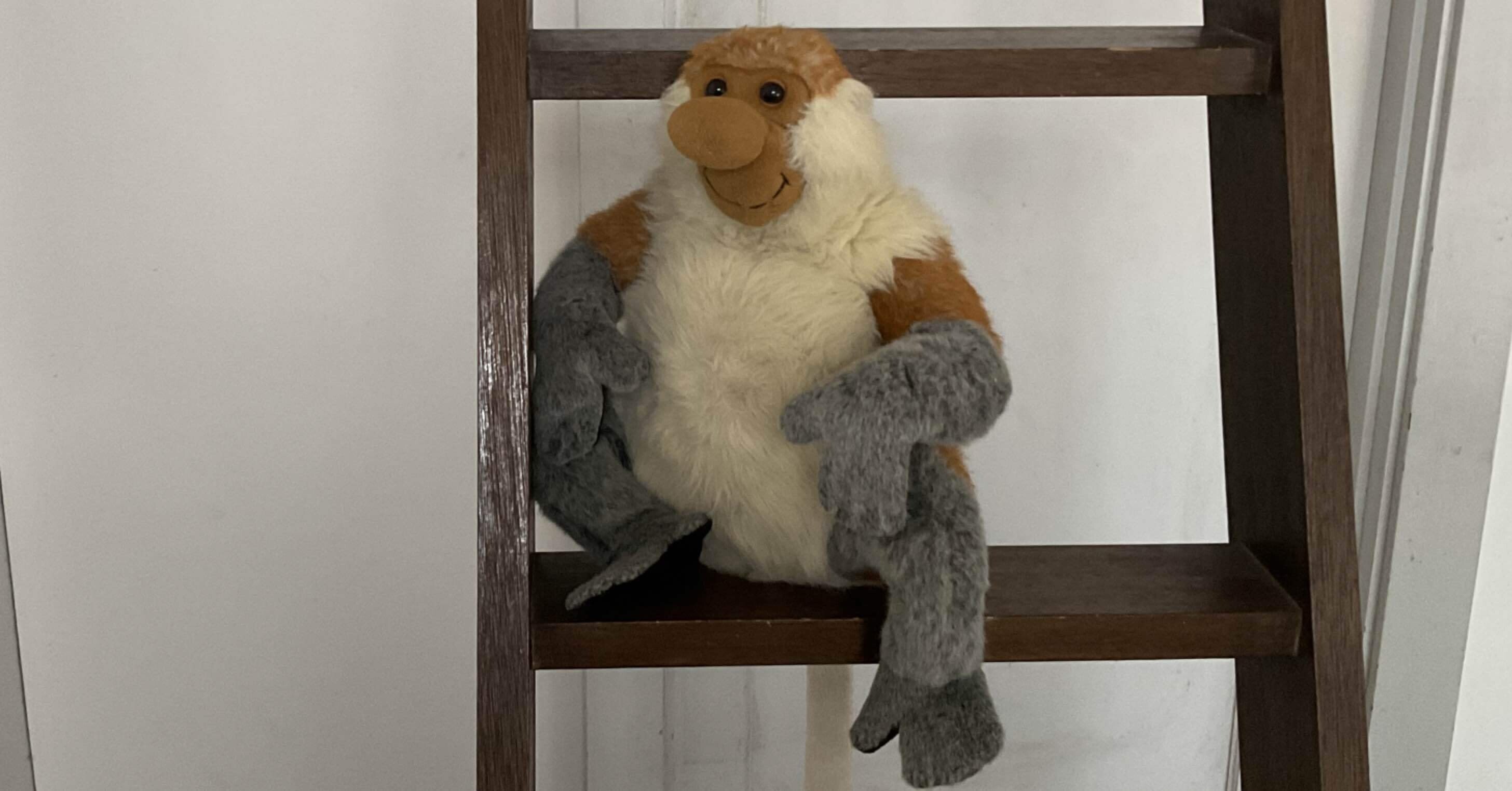 fcaebae9be2382e84bf01508675e6f