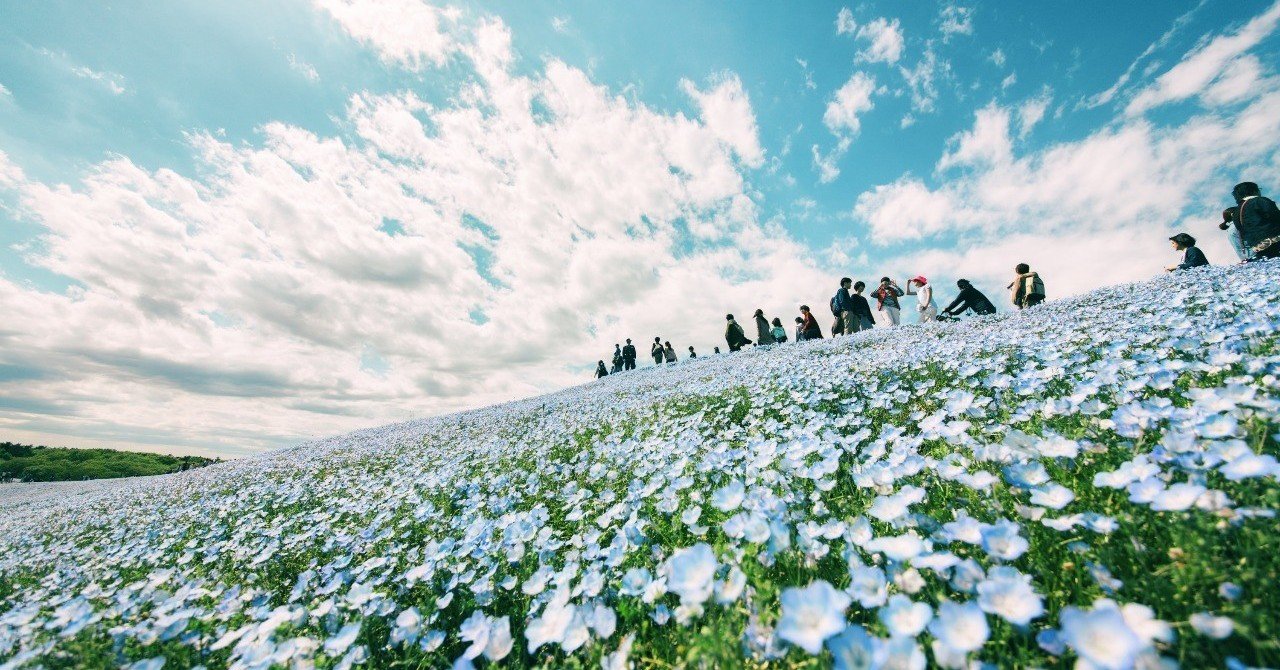 Gwに観たいamazonプライムアニメ10選 横田裕市 写真家 Gwに観たいamazonプライムアニメ10選 横田裕市 写真家