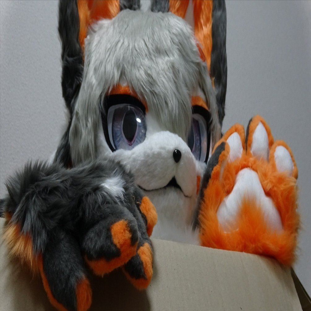 着ぐるみで自分が人気者になったと錯覚してる人たち｜響音カゲ