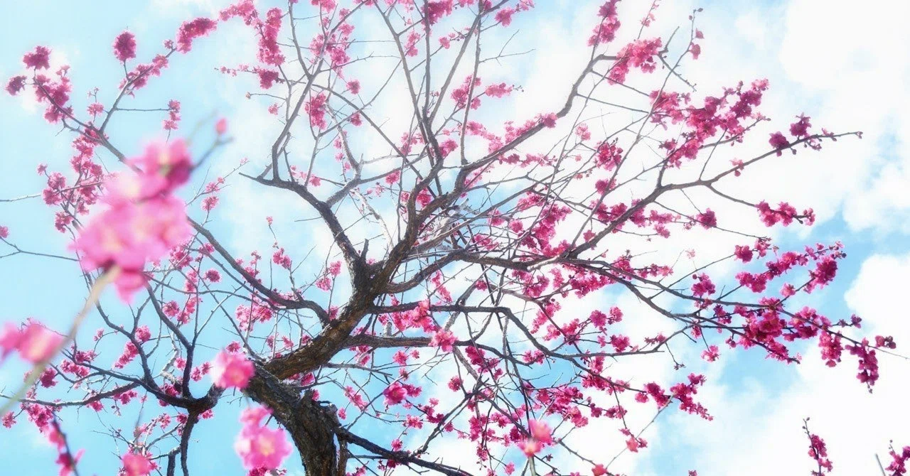 はじめに ～同志社・関学・関大・近大に合格しました～｜まるお