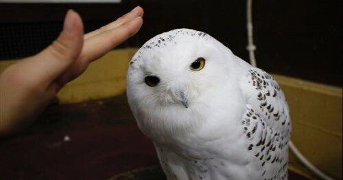 f609e60bd9d4b0ec6636af2ee17b19