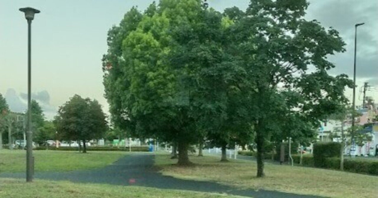 気になる木|下町を愛するシニア