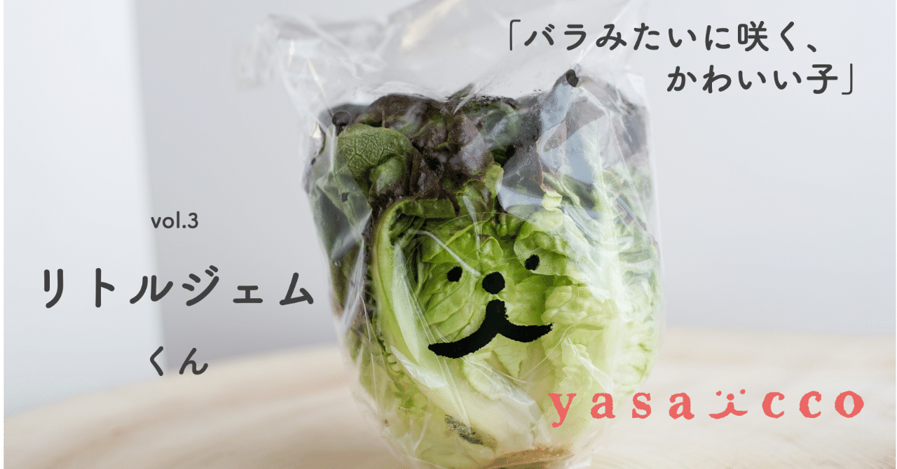 リトムジェム