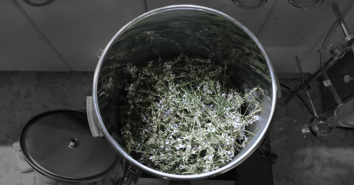 【稀少】2009年「北海道ラベンダー」・2005年「北海道オコジョ」根付セット Amazon.co.jp: 北菓楼 北海道開拓おかき 詰め合わせ (170g×5袋