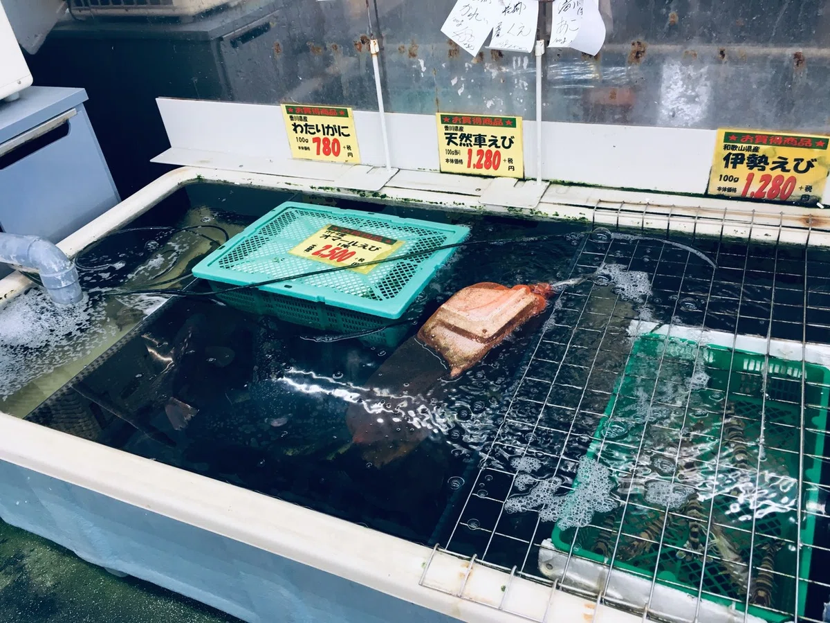 画像7