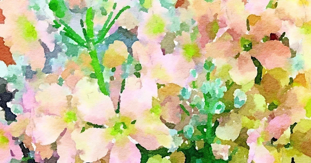 言葉には賞味期限があるという話 とみえり Note