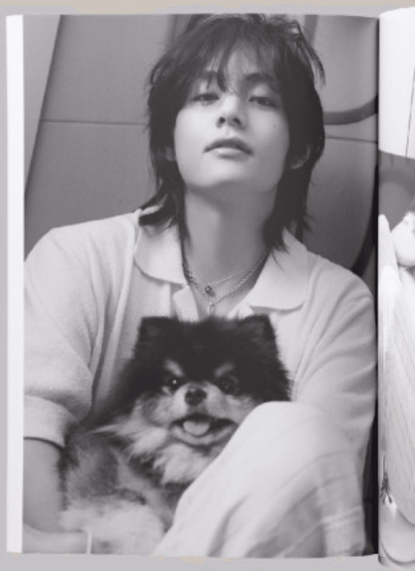 BTS V着用 ヨンタン前掛け BTS V着用 ヨンタン前掛け