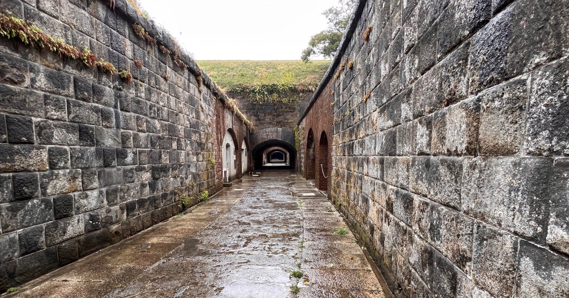 島のインじぃ言いたい砲台31 〜千代ヶ崎砲台 in 東京湾要塞〜 2023.3