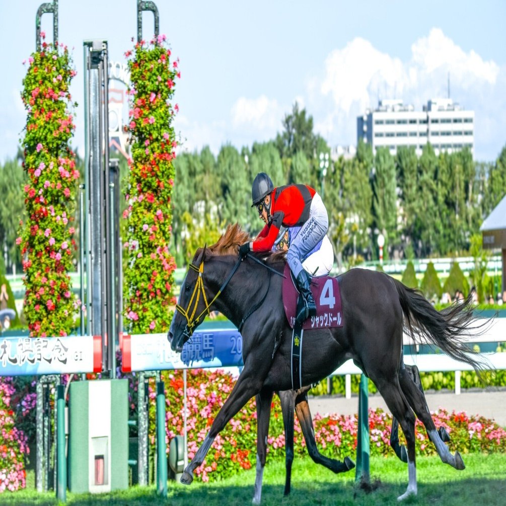 パンサラッサ 札幌記念 単勝馬券 ため息
