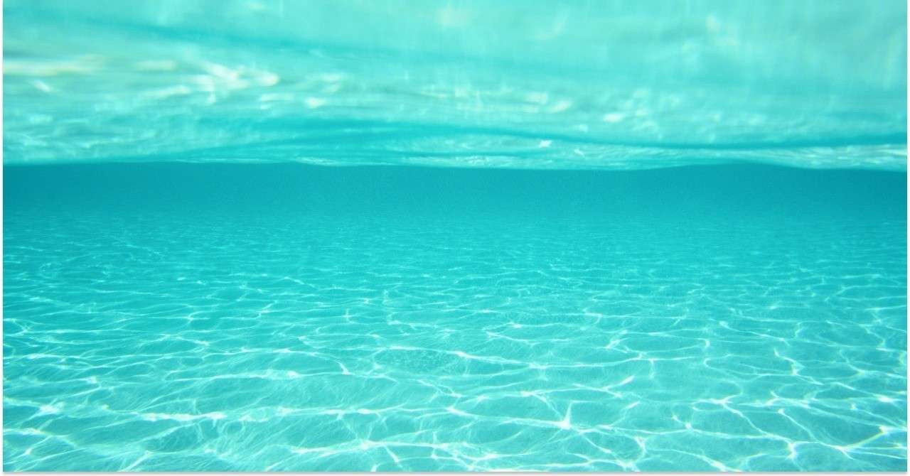 海