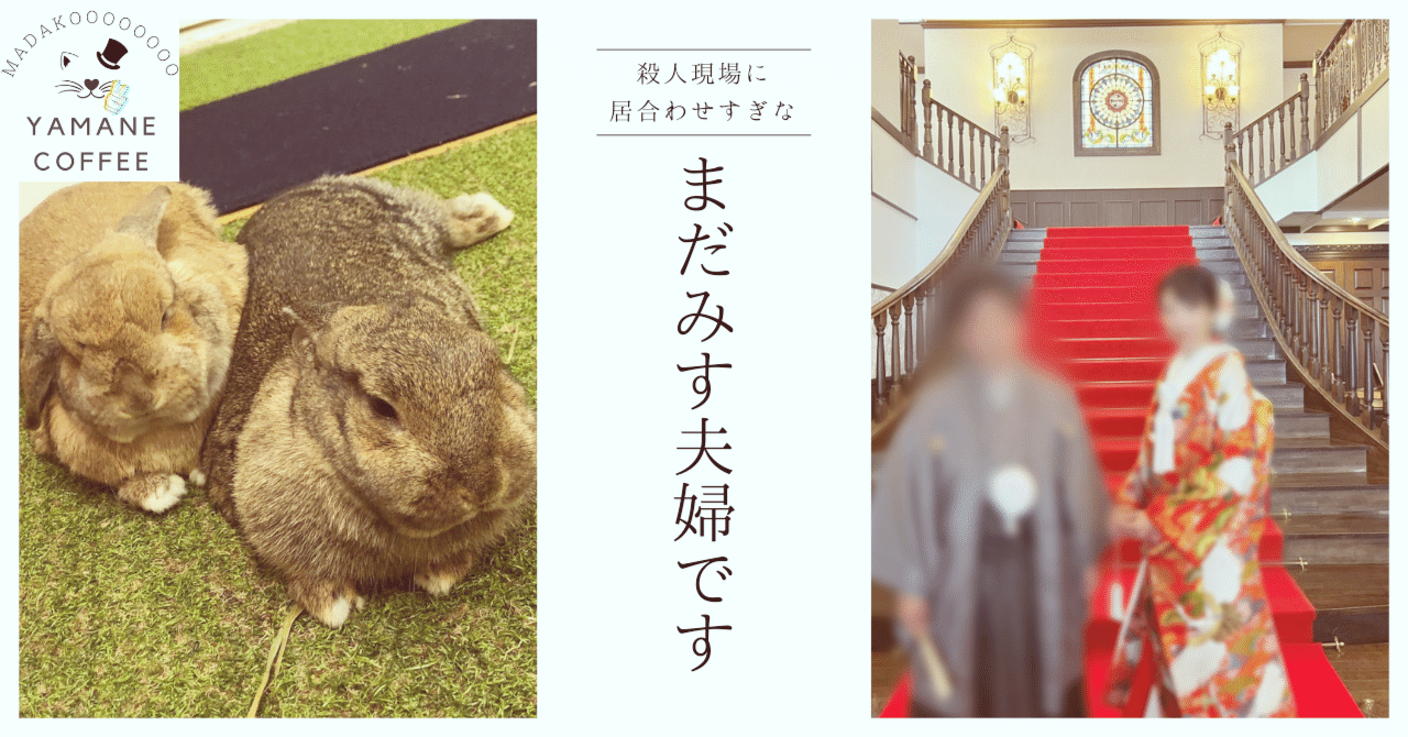 世間は私たちを「マダミス婚」と呼ぶのだろう｜やまねこ😺マダミス広報部