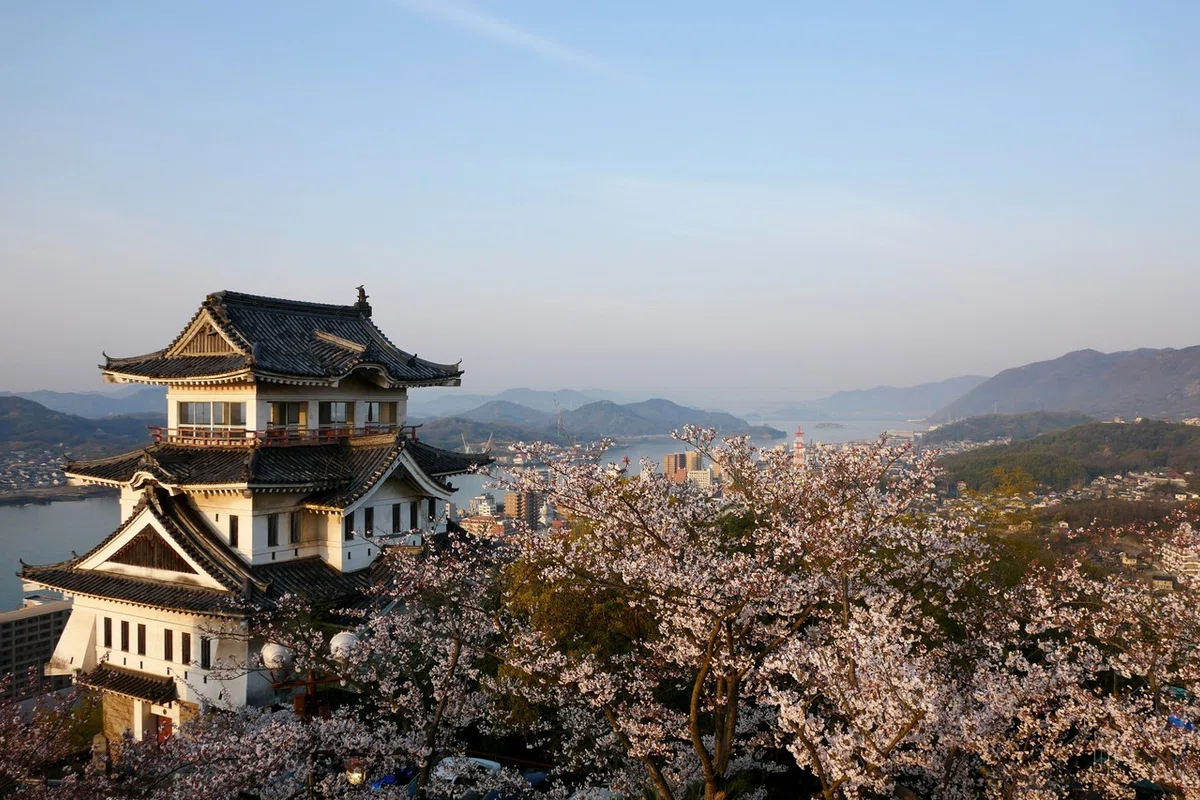 画像