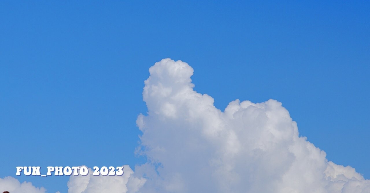 夏、真っ盛りの撮影には、EF100-400mm F4.5-5.6L IS II USM 夏、真っ盛りの撮影には、EF100-400mm F4.5-5.6L IS II USM