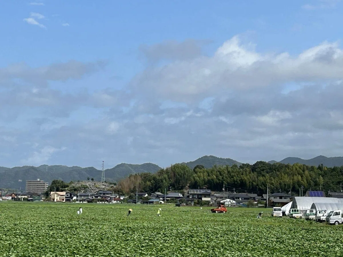 画像