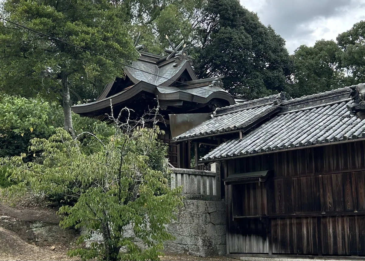 画像