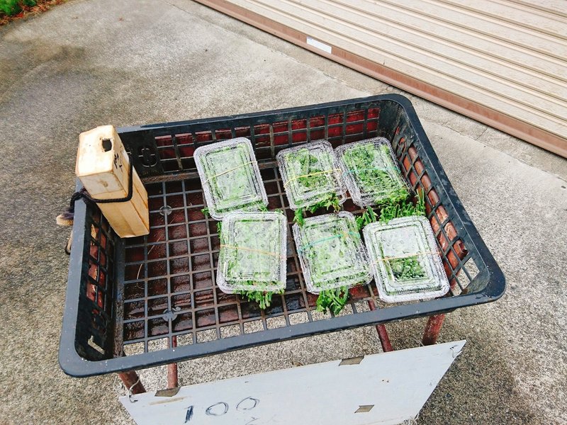 小雨と寒さに負けず 緑豊かな長沼公園散策と有名な 斜面御殿 を見物した話 Takanori Oshiba Note 小雨と寒さに負けず 緑豊かな長沼公園散策と有名な 斜面御殿 を見物した話 Takanori Oshiba Note