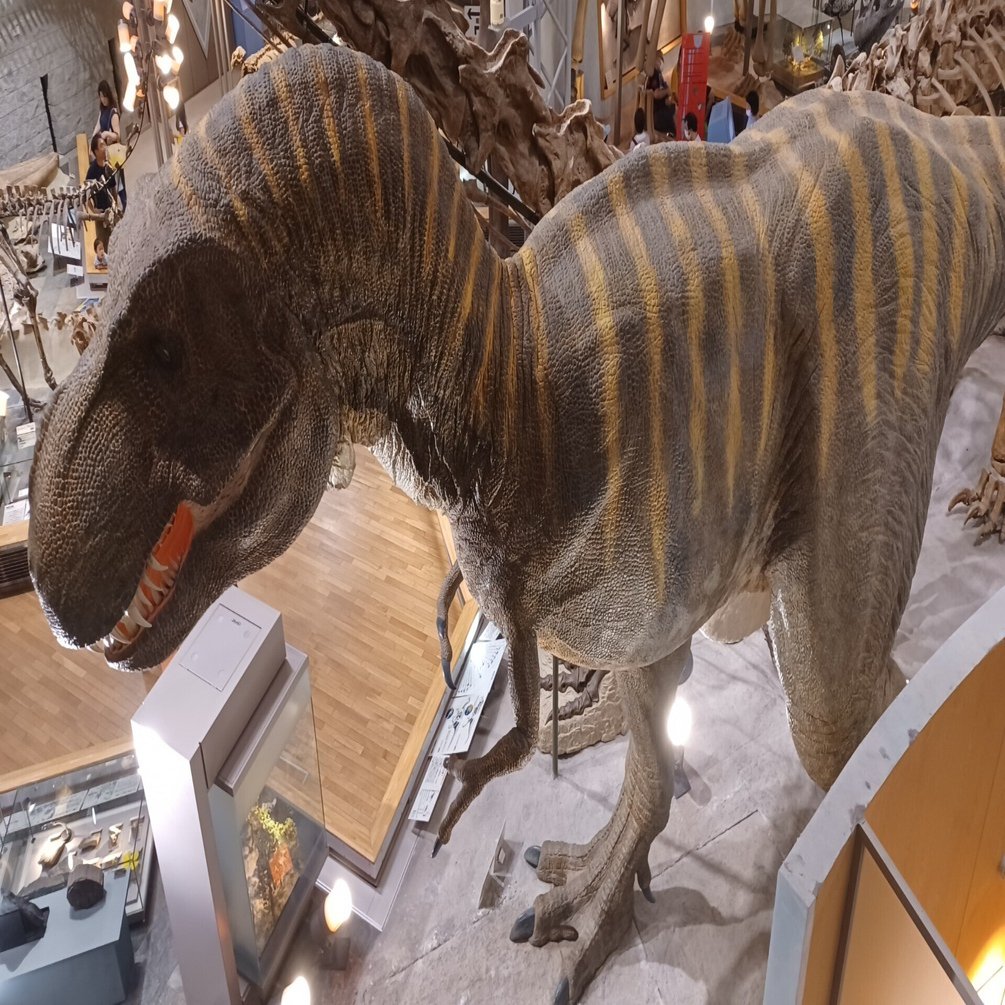 takaさんぽ【番外編】～世界遺産検定1級編～｜taka