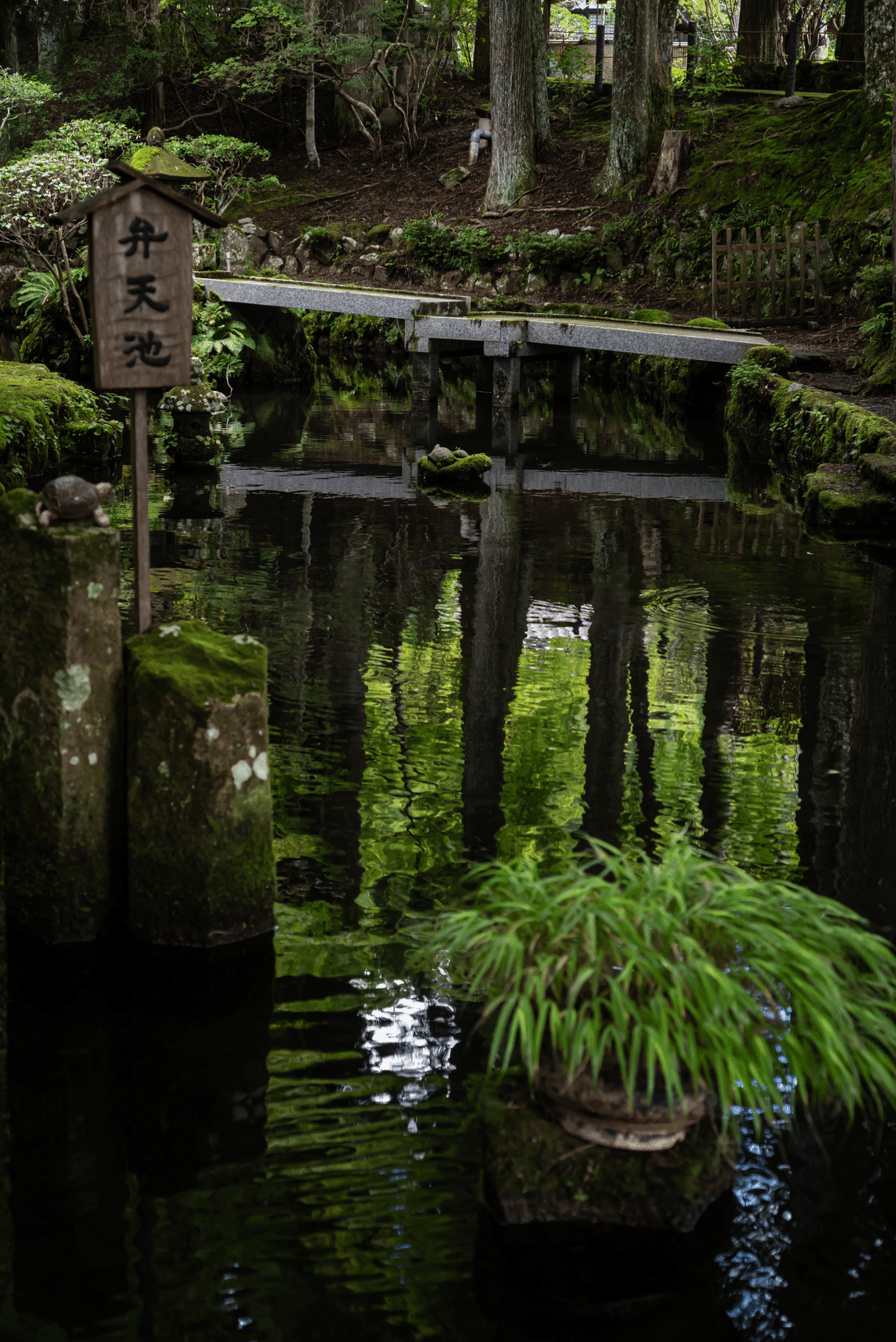 箱根 仙石原、長安寺と箱根湿性花園｜SACHIKO_S
