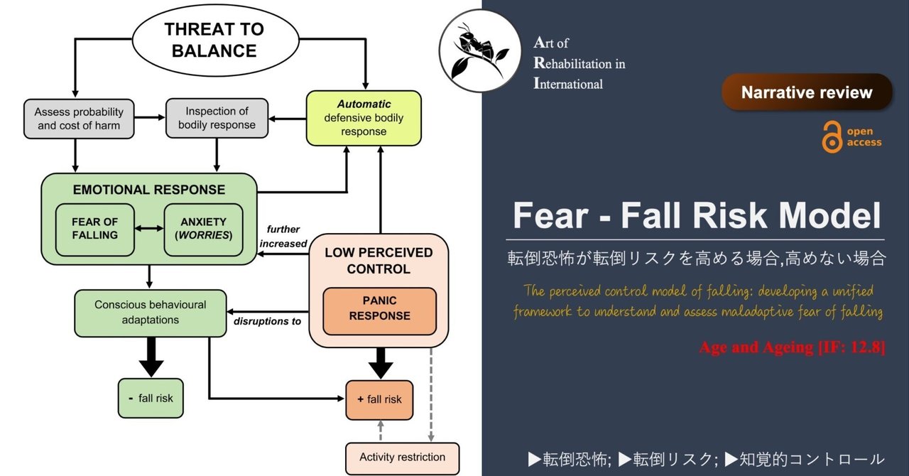 Fear - Fall Risk Model。転倒恐怖が転倒リスクを高める場合,高めない場合|Super Human | 理学療法士/保健学 ...