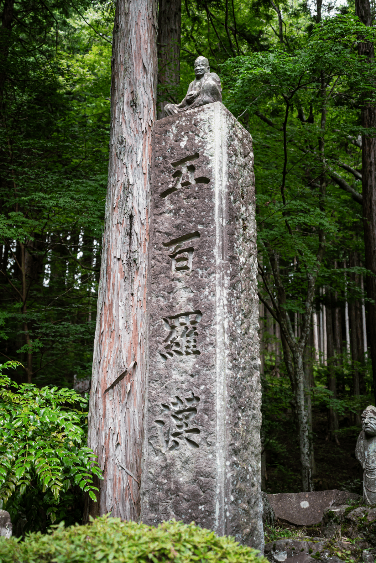 ナツズイセン　パステル画　箱根長安寺 箱根の五百羅漢と夕涼み🌱長安寺】 箱根仙石原にあって650年以上