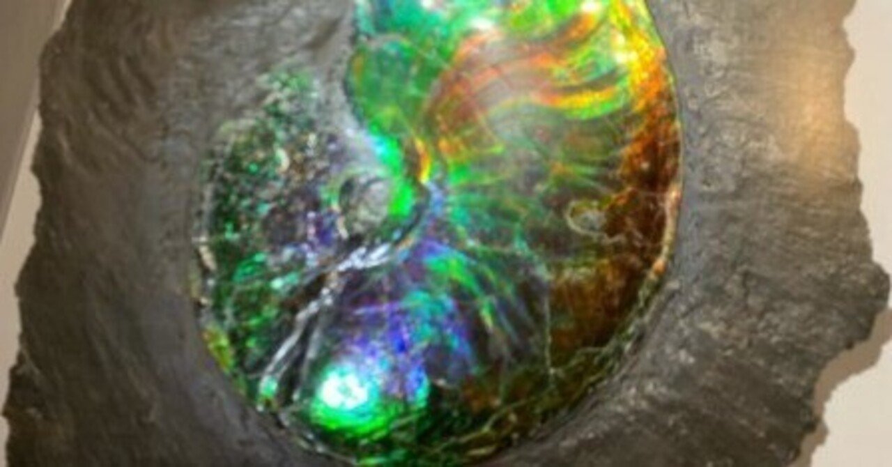 カトマンズのアンモナイト売り｜たこやまたこた