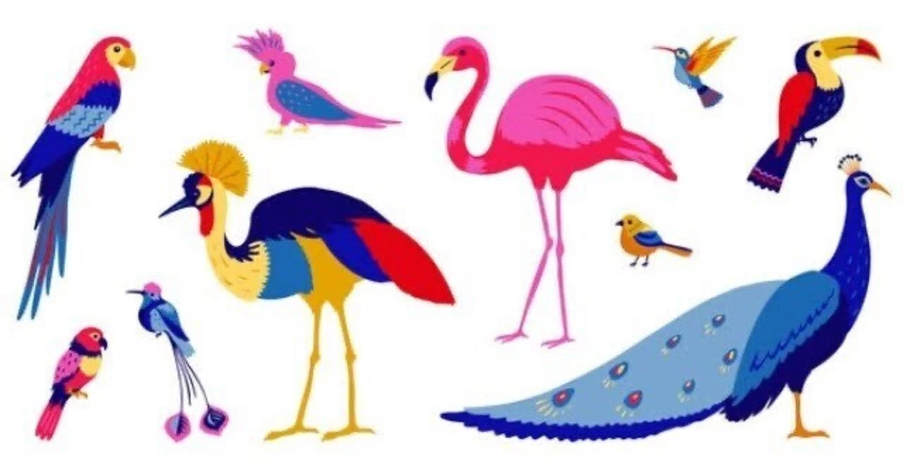 【中古】 鳥と語る夢 第2636回 夢占いの中の鳥 ⑴｜翆野 大地