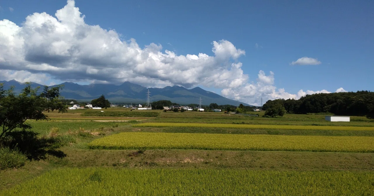 原村に移住しました｜champ